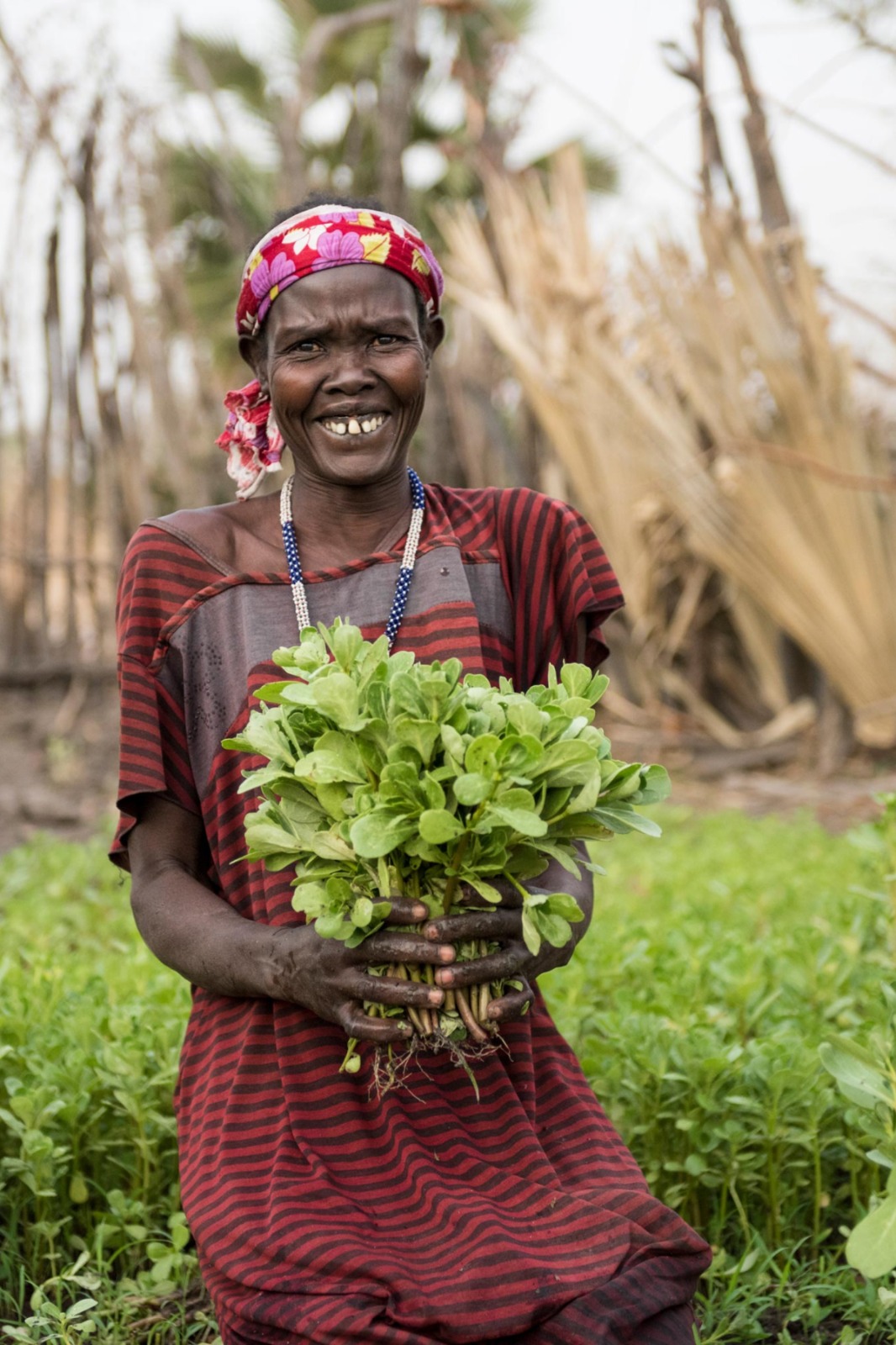 Agrotech Plus climate change