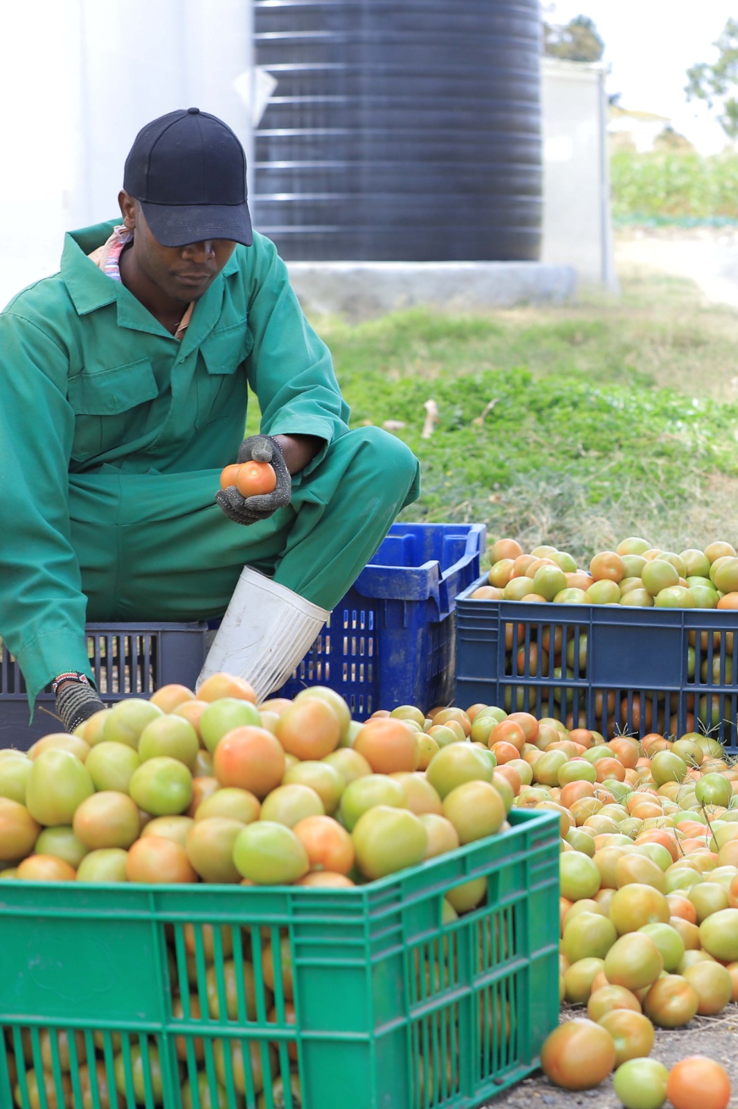 Agrotech Plus climate change