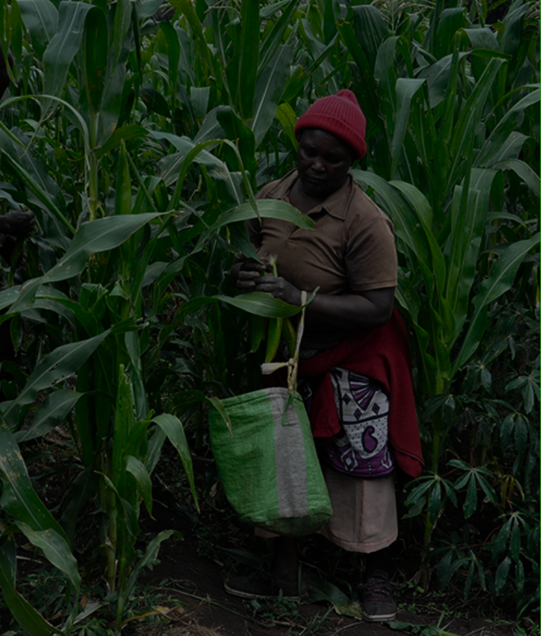 Kenyan farmer with produce